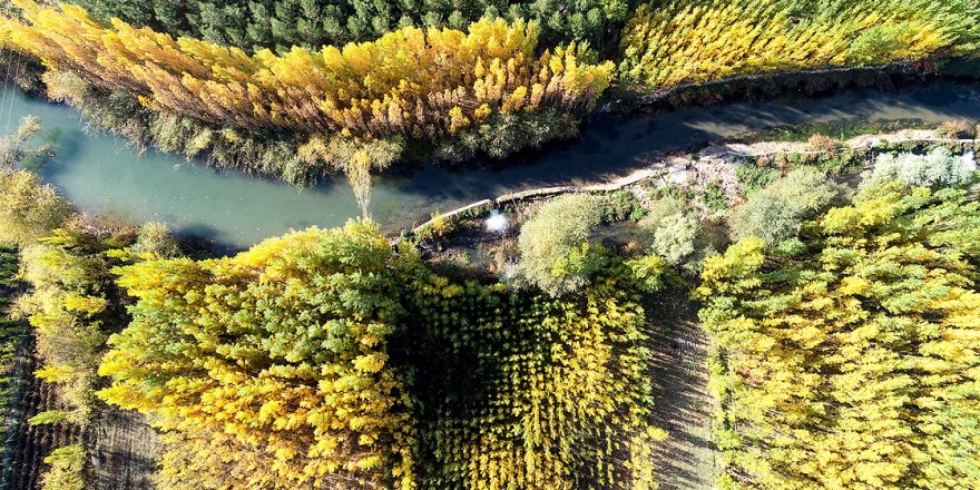 Tarih ve doğanın buluştuğu Savur'da sonbahar
