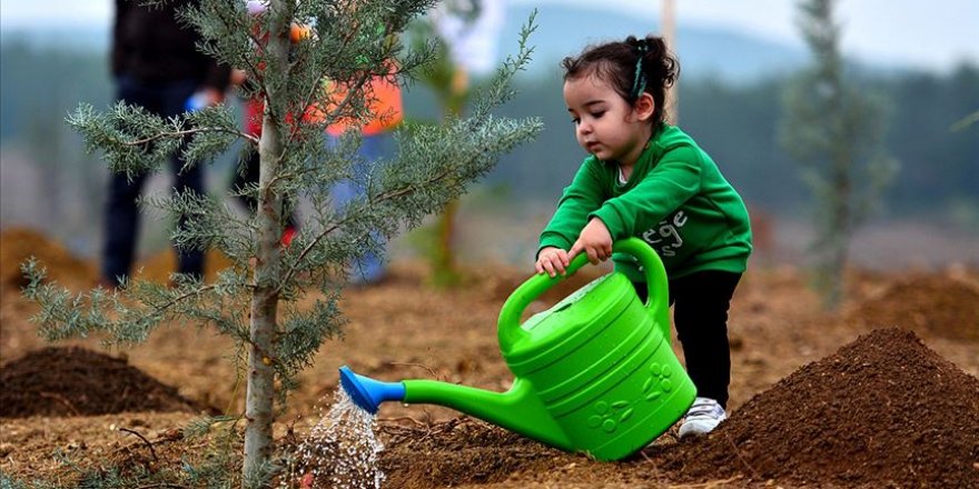 16 yılda 30 bin futbol sahası kadar toprak kurtarıldı