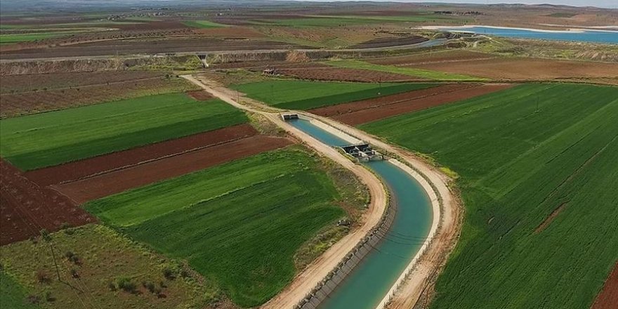 Güneydoğu'da sulanan arazilerden ekonomiye 2 milyar 888 milyon liralık katkı