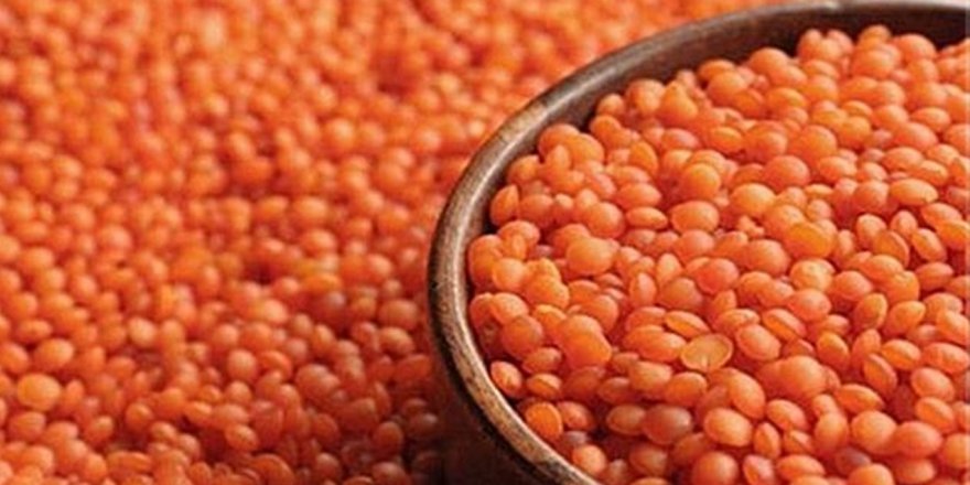 Mercimekte fark ödemesi desteği artırılacak