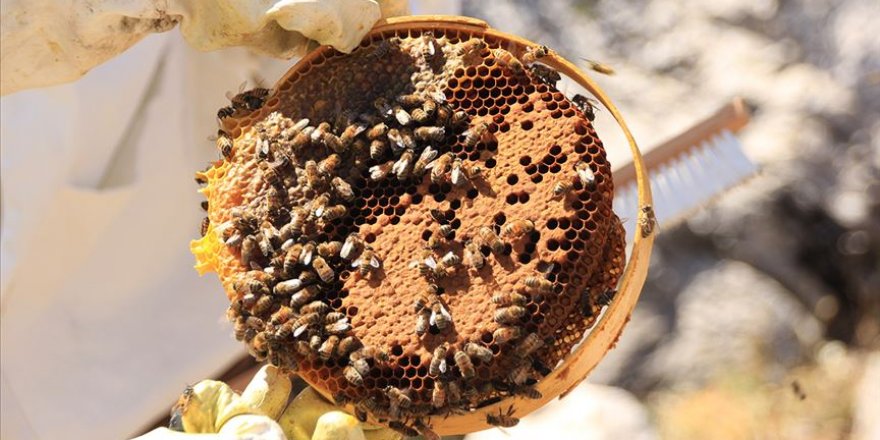 48 bin genç çiftçiye 1,4 milyar lira hibe desteği sağlandı