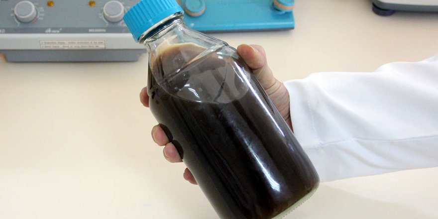 Mikrobiyal peynir mayasıyla ekonomiye katkı sağlayacak