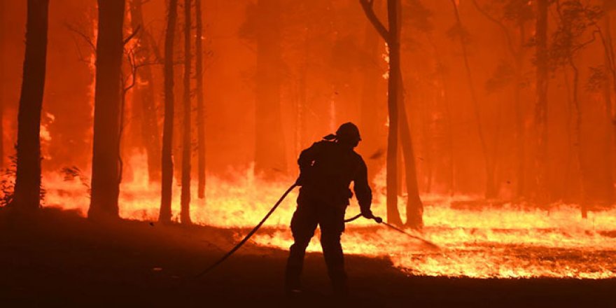 Avustralya'da orman yangınları güneye doğru ilerliyor