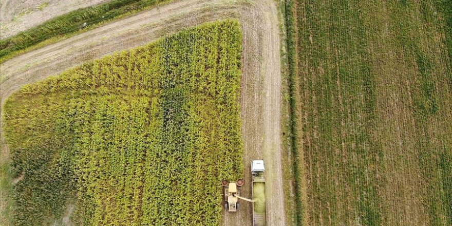 Gıda üretimine 'sözleşme' güvencesi