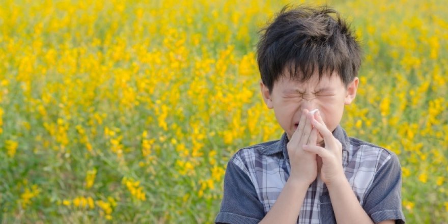 Çocukluk çağı alerjilerine dikkat
