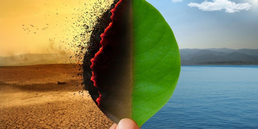 Oxford Sözlüğü yılın kelimesini belirledi