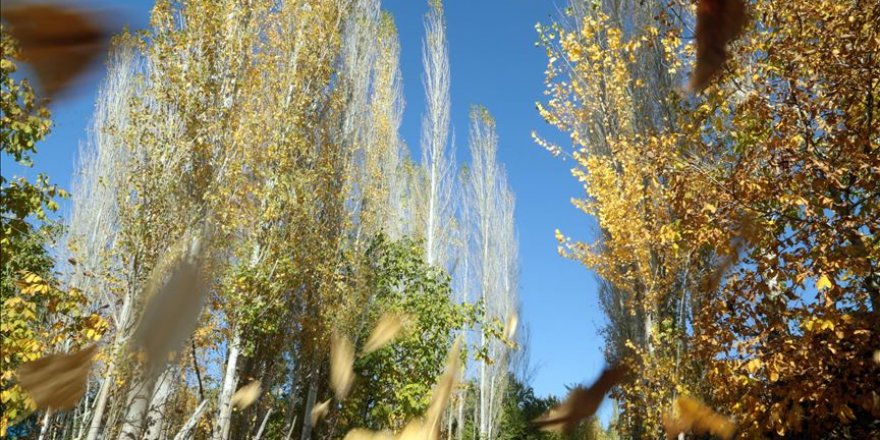 Yeşilgöz Gölü ve Başkonuş Yaylası sonbaharda başka güzel