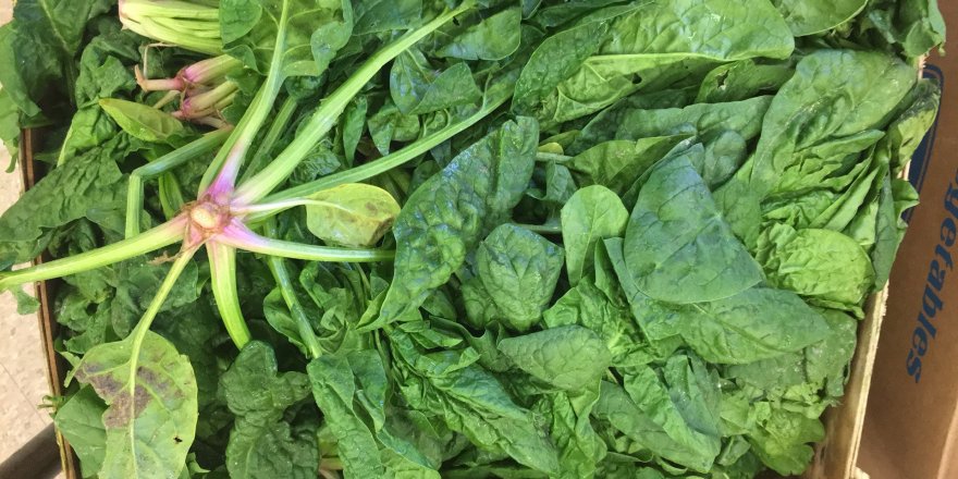 Ispanak üzerindeki kara bulutlar dağılıyor