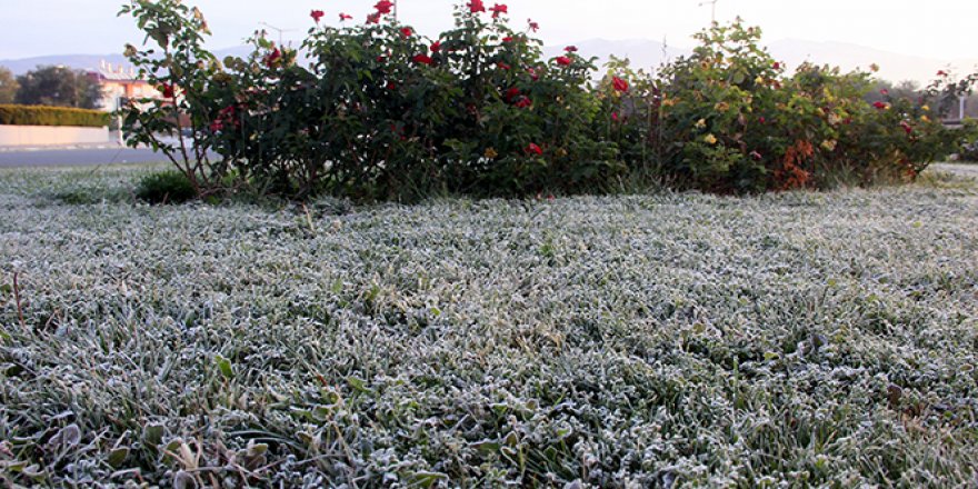 Doğu Anadolu'da soğuk hava!