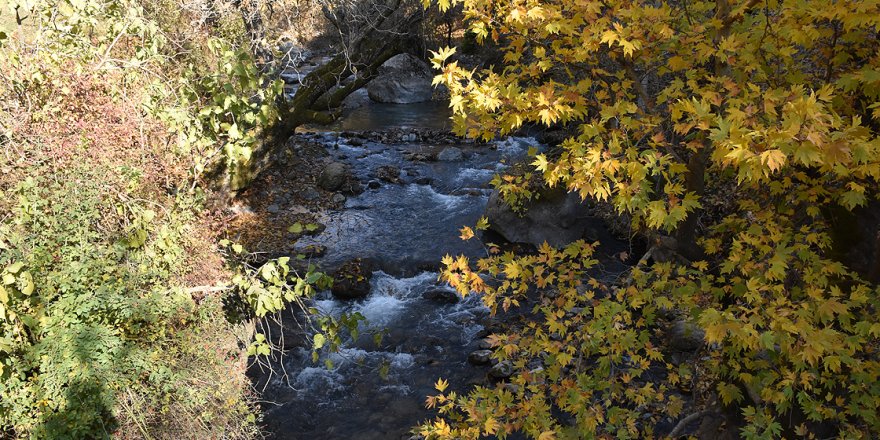 Eski yerleşke doğaseverler tarafından keşfedilmeyi bekliyor