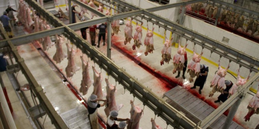 Tarım ve Orman Bakanlığı 'ürün bazlı' gıda denetimlerine başladı