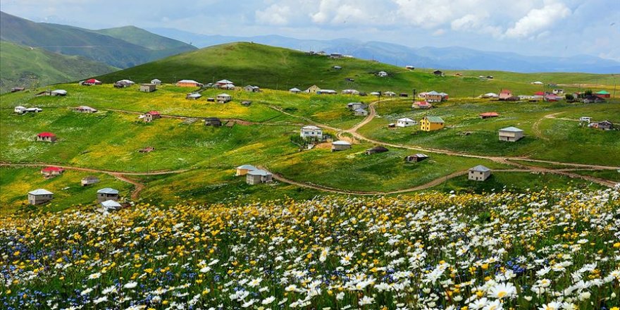 Trabzon'daki Barma Yaylası Turbalığı 'kesin korunacak hassas alan' ilan edildi