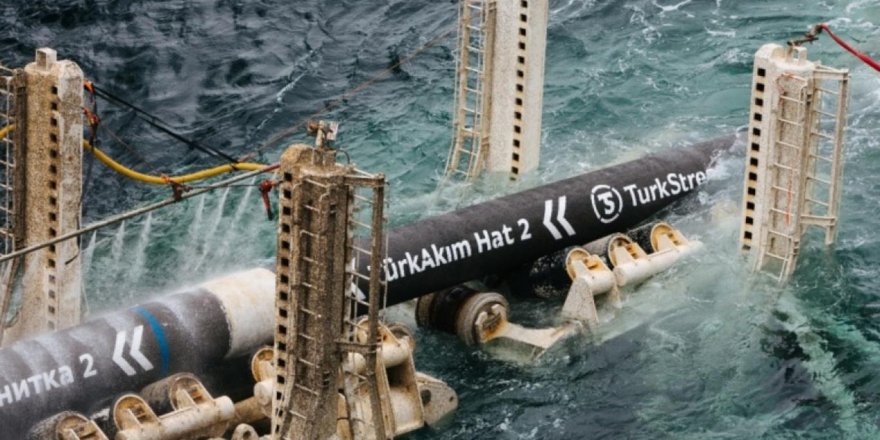 Putin, TürkAkım projesinin açılışı için Türkiye'ye gelecek