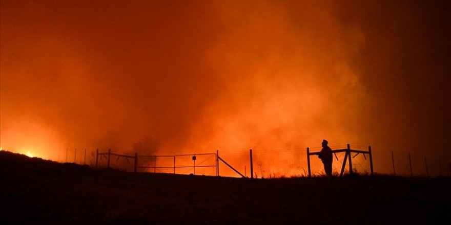 ABD'deki orman yangını büyüyor
