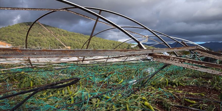 Çiftçiye 14 yılda 5,9 milyar lira hasar tazminatı ödendi
