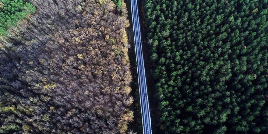 Doğa turizminin gözdesi Kırklareli sonbaharda görsel şölen sunuyor