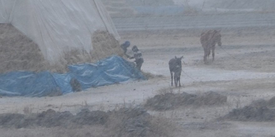 Kars'ta yoğun kar yağışı