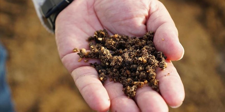 Zeytin çekirdeğinden üretilen çevreci yakıta talep artıyor
