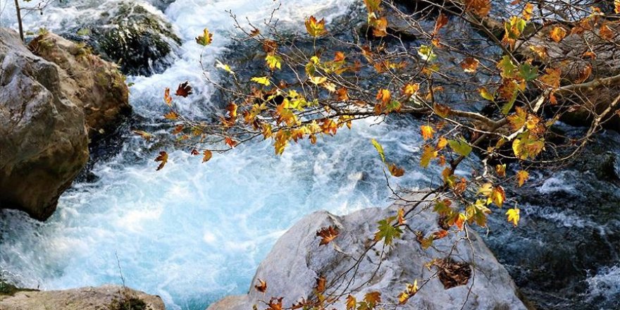 Karanlıkdere Kanyonu'nda sonbahar güzelliği