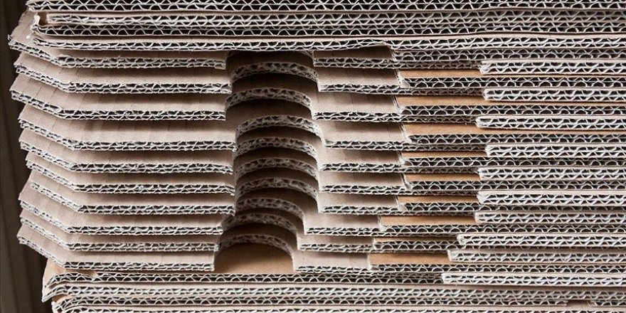 Türk girişimciler Almanya'da kağıt çamurundan enerji üretecek