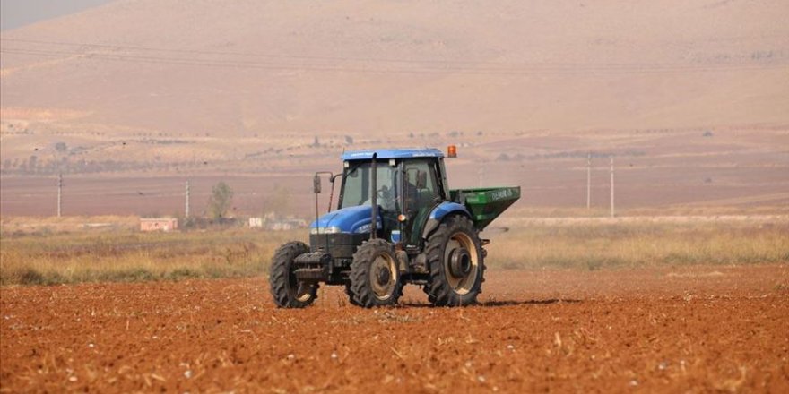 GAP çiftçisinin hububat ekim telaşı
