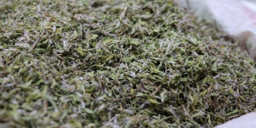 Kurusu yaşının 10 katı fiyatında