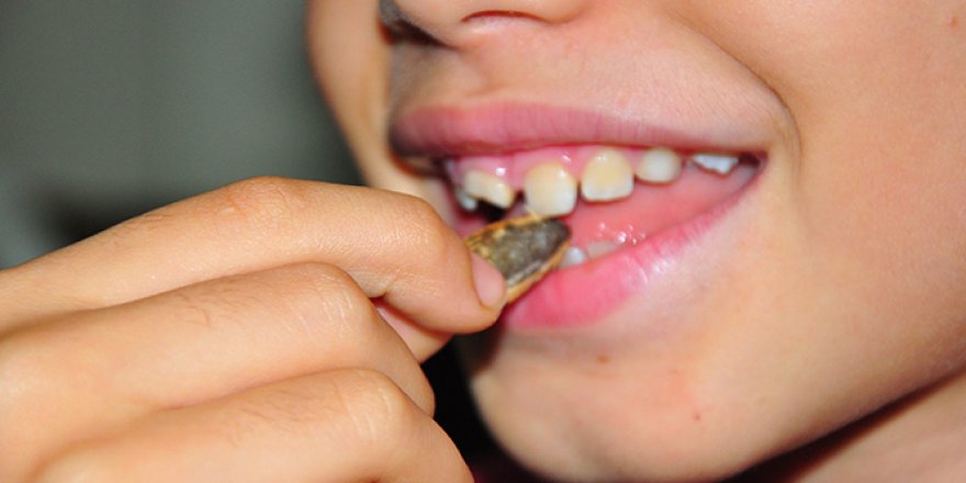 Uyarı çocuklar için geldi: 'Çekirdek yerken dikkat!'