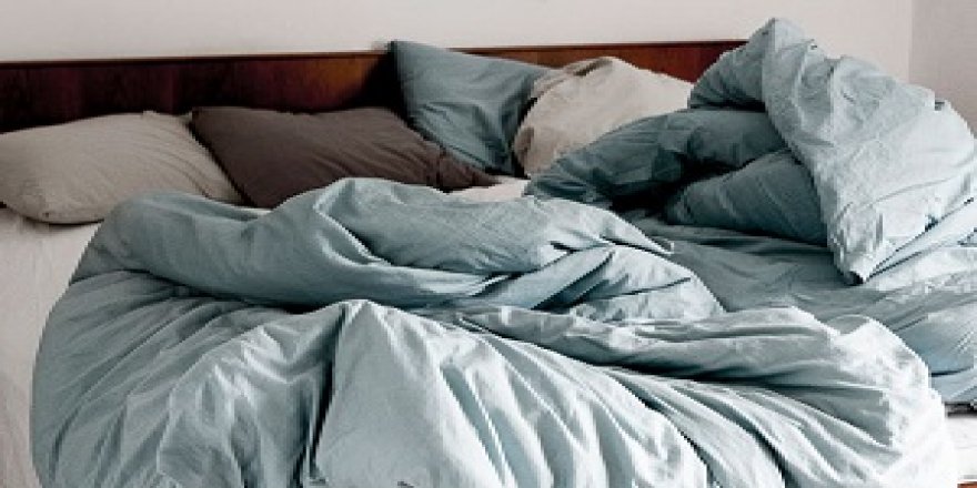 Yatağınızdaki yaratıklara dikkat