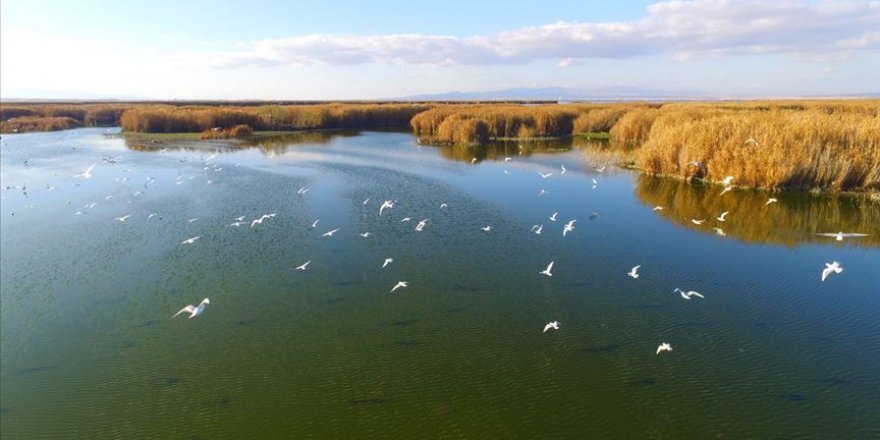 Afyonkarahisar'daki hazan güzelliği etkiliyor