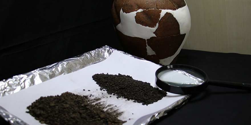 Kazıda bulunan buğday taneleri tam 4 bin 500 yıllık çıktı