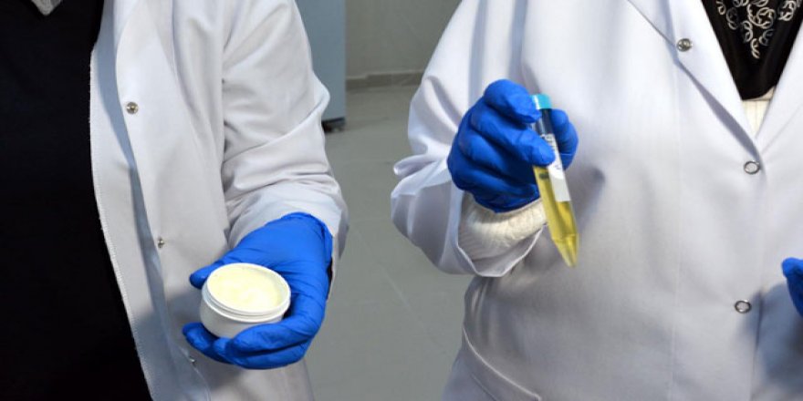 Çaşır bitkisinden diyabetik yaraları için krem ve sprey ürettiler