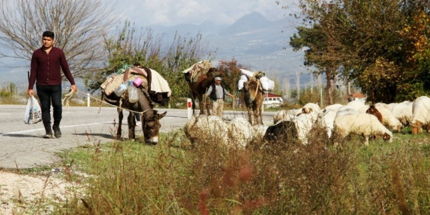 Yörük göçü ilginç görüntüler oluşturdu
