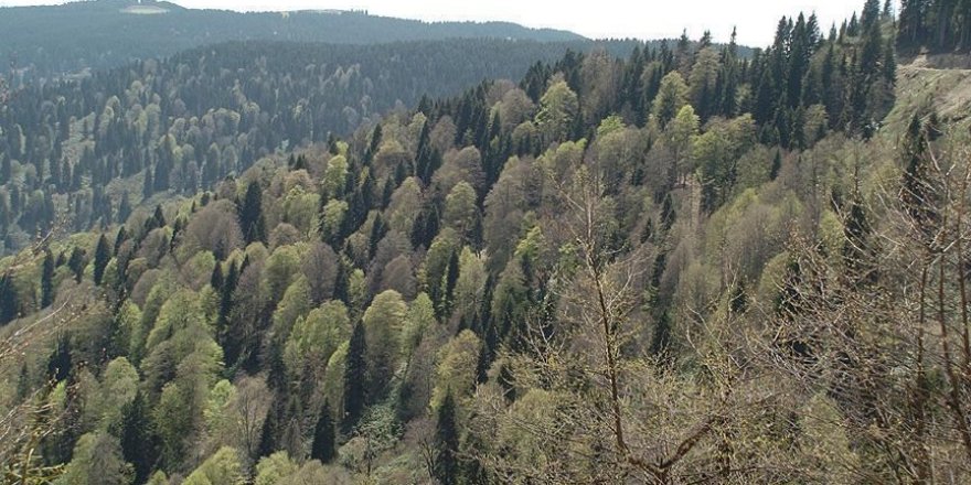 50 yılda erozyonla taşınan toprak miktarı yüzde 70 azaldı