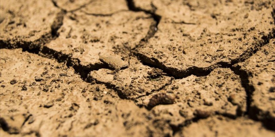 Dünya her yıl 24 milyar ton toprak kaybediyor