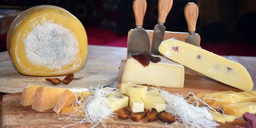Kaşar peynirinde bol kazanç için 'geleneksel yöntemleri koruyun' önerisi