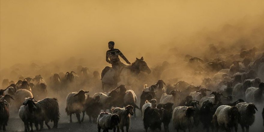 Milyarlık kırsal kalkınma yatırımlarına Bakanlık desteği