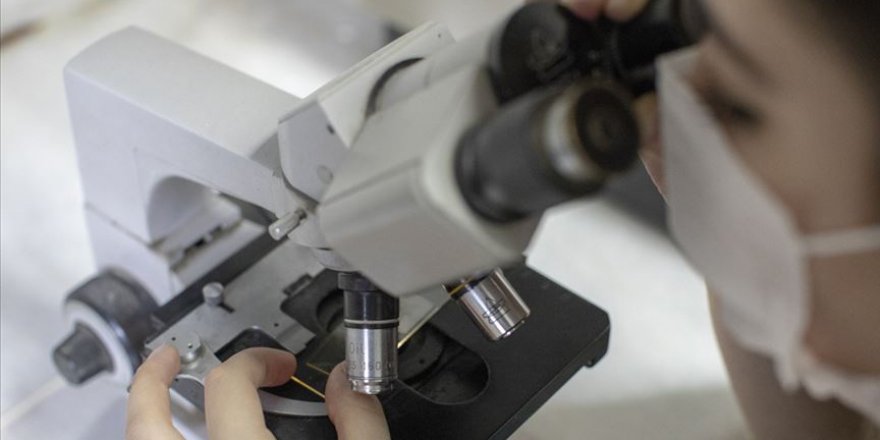 Gıda işletmelerinde "biyomühendis" istihdam edilebilecek