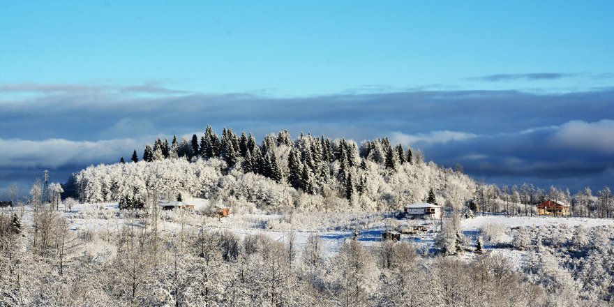 Ordu'da kar güzelliği