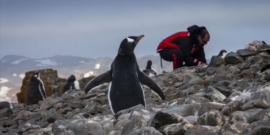 Antarktika seferleri meyvelerini veriyor