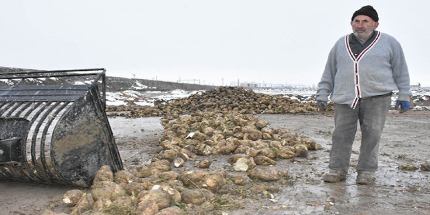 Sivas'ta soğuk havada pancar mesaisi