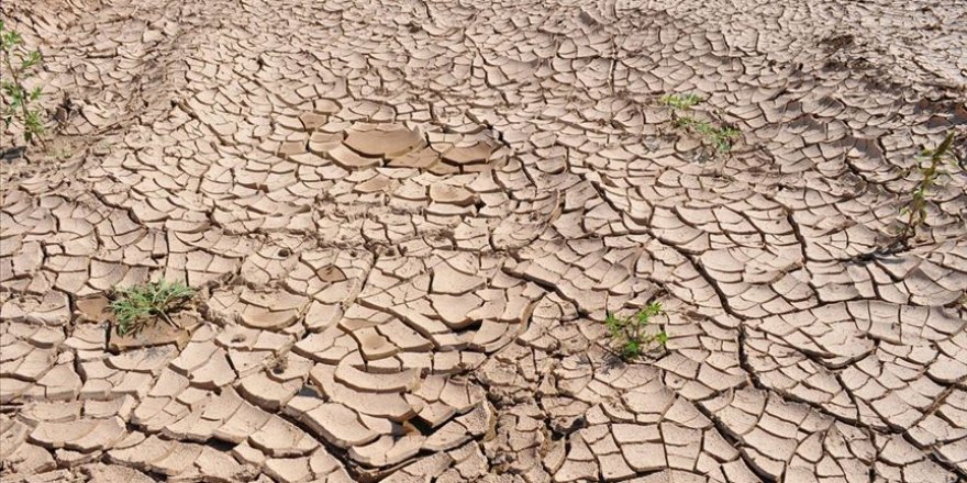 Türkiye son 9 yılın en kurak kasımını geçirdi