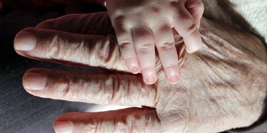 Bilim insanları yaşlanmanın 3 etaptan oluştuğunu belirledi