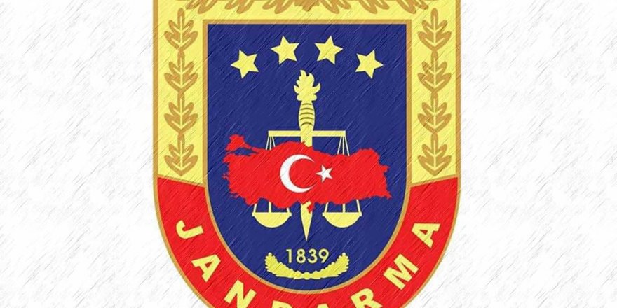 Jandarmadan 'ineğe trafik cezası' açıklaması