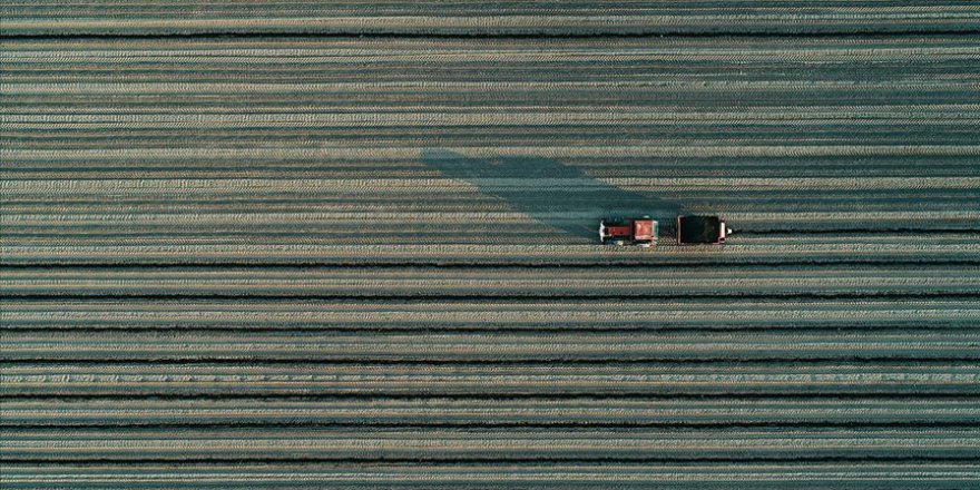 Stratejik tarım ürünleri için oluşturulan takip masaları devrede