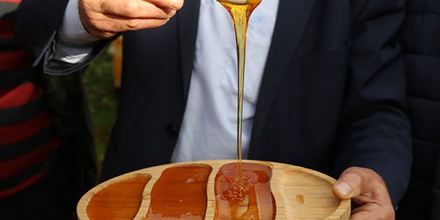 Kainat eczanesinden kestane balı tam bir şifa deposu