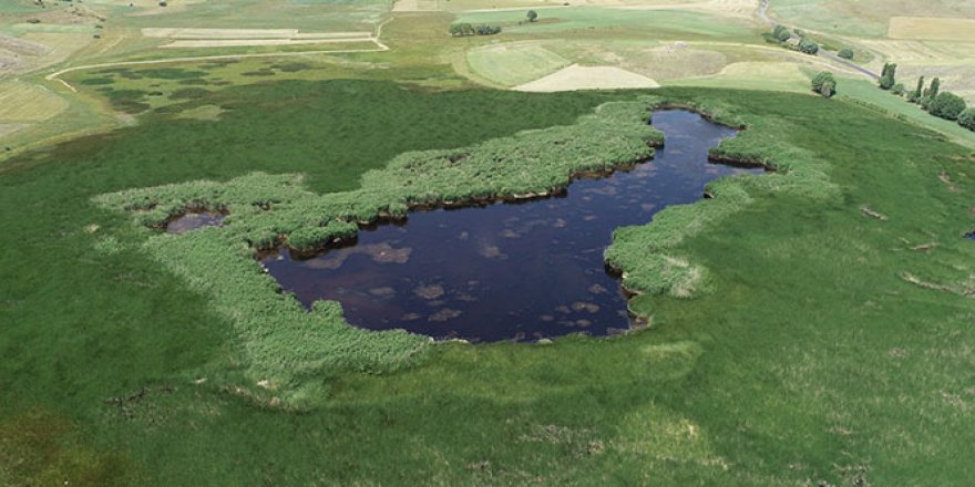 Kaz Gölü, Dipsiz Göl olmayacak