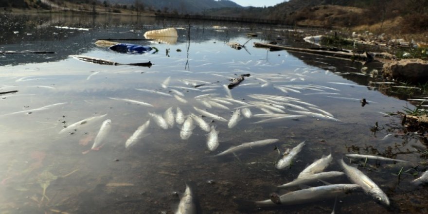 Çevre katliamına neden olan fabrikalara 360 bin TL ceza kesildi
