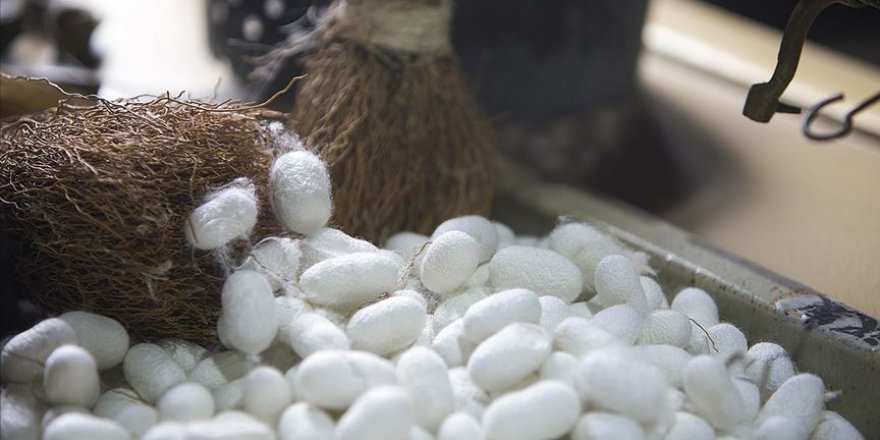 Bursa ipeği tescillendi