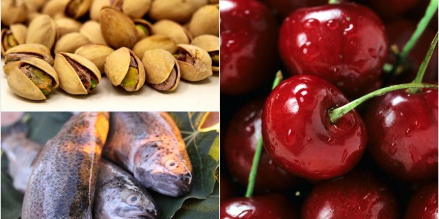 Çinliler daha çok Türk ürünü yiyecek