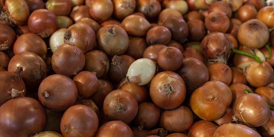 Hindistan'daki soğan krizi Türk üreticilere fırsat oldu